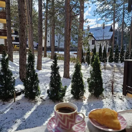 Apartamento Freedom *